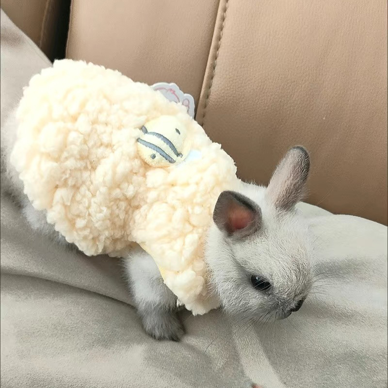 Winter Clothing Newborn - سترة دافئة للحيوانات الصغيرة في الشتاء،