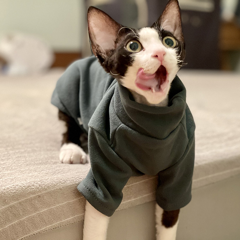Winter Clothing For Toddlers - ملابس Sphynx للقطط للأطفال من القطن